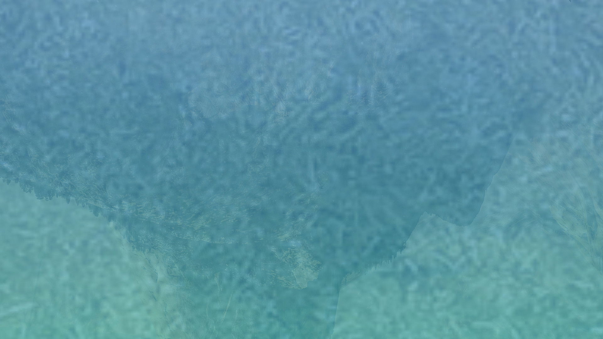 ব্যাকগ্রাউন্ড ৩